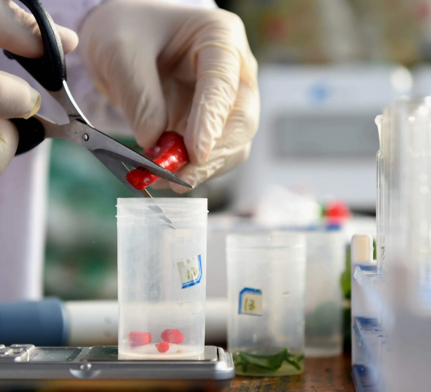 食品廠(chǎng)化驗(yàn)室設(shè)備清單