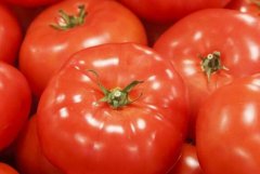 無毒化農(nóng)藥有可能成為未來趨勢嗎？