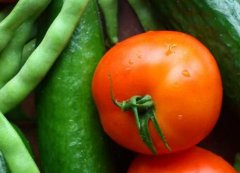 食品安全檢測儀與農(nóng)藥殘留檢測儀的區(qū)別嗎？