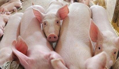 1635491017828547.jpg QQ截圖20210412163458.jpg